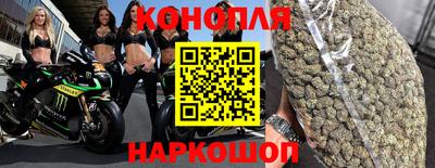 прущие грибы Краснознаменск