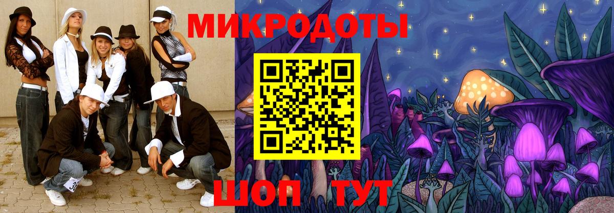 Псилоцибиновые грибы Psilocybe Ейск