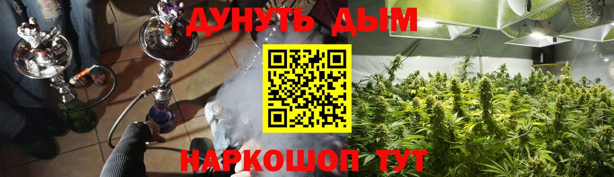 Ейск  Шишки марихуана тримм  Вход с VPN  Канабис гибрид 