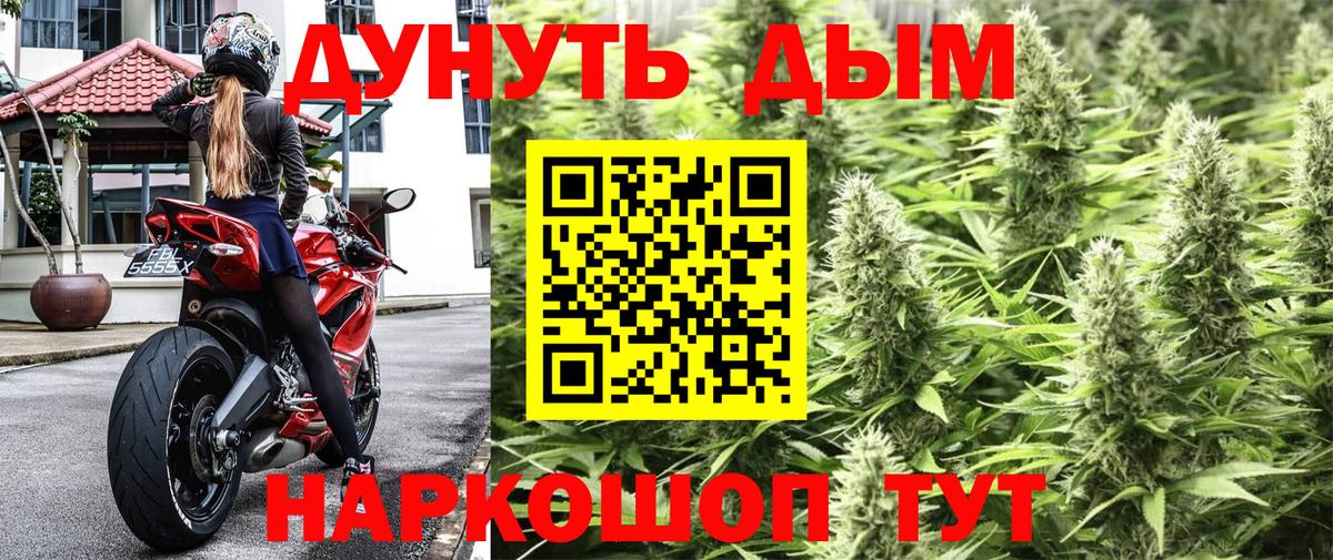 Канабис план Ейск